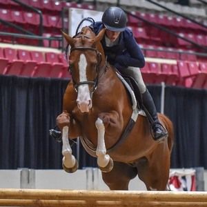 Meet your Posher, Jan